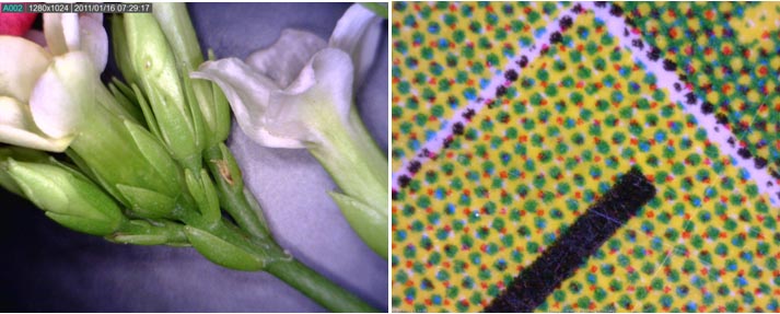 AM4111T-img2.jpg AM4111T-img2.jpg